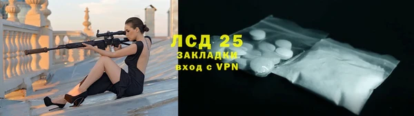 ПСИЛОЦИБИНОВЫЕ ГРИБЫ Заводоуковск