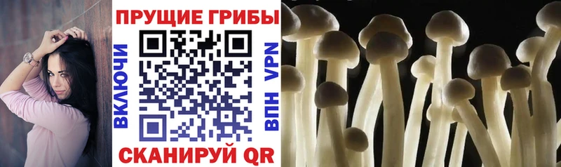 Галлюциногенные грибы ЛСД  kraken ТОР  Светлый  хочу  
