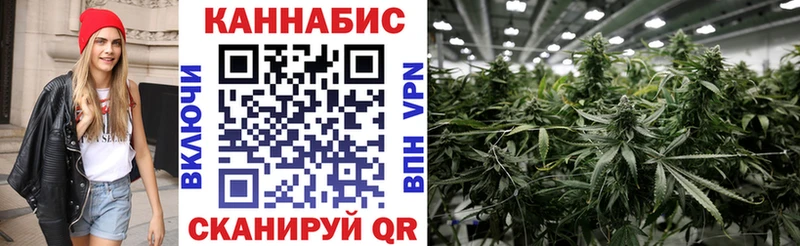МАРИХУАНА марихуана как найти наркотики Светлый